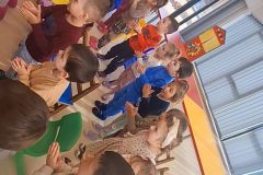 Grădinița cu Program Prelungit Ghimbav